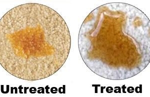 Photo of Action Carpet Cleaning