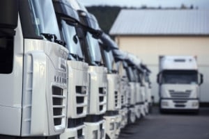 Photo of Roadrunner Movers