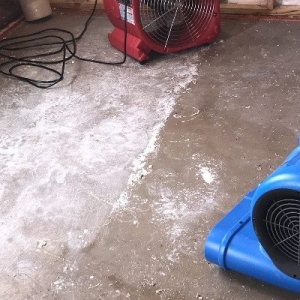 Photo of AdvantaClean of Des Moines Central
