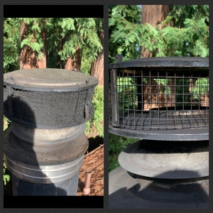 Photo of Clean Air Services