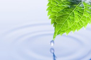 San Diego Eco-dry Carpet Care