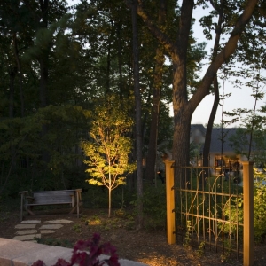 Photo of Terra-Firma Landscape