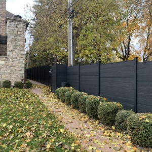 Photo of First Fence