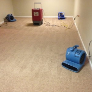 Photo of A Affordable Carpet & Upholstery Cleaning
