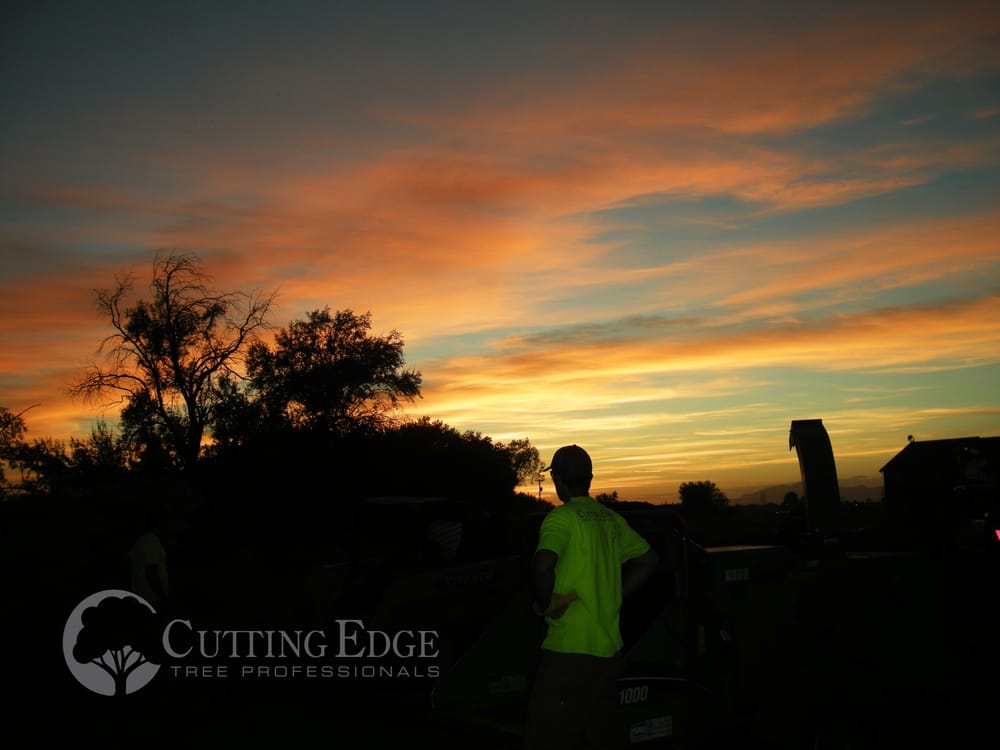 Cutting Edge Tree Professionals in Layton,UT - Uahot