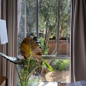 Photo of West Window Washing