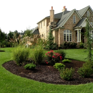 Campbell New View Landscaping & Gardening
