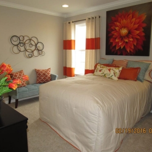 Photo of Timeless Designs