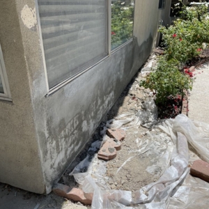 Photo of Tile’s plastering