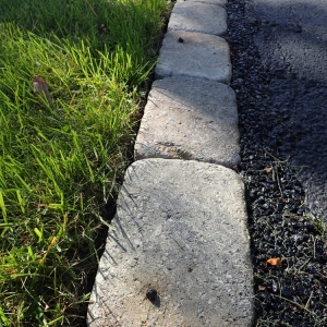 Photo of Lawn Rangers