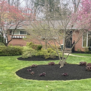 Photo of Lawn Rangers