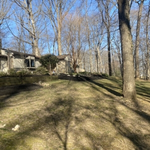 Photo of Lawn Rangers
