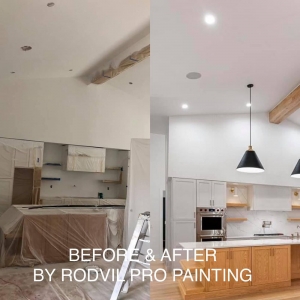 Photo of RodVil Pro Painting