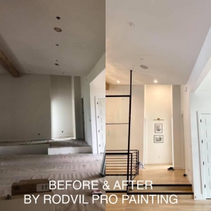 Photo of RodVil Pro Painting