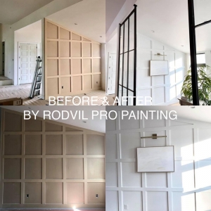 Photo of RodVil Pro Painting