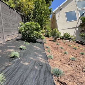 Photo of Brothers Property Landscaping