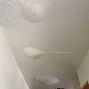 Photo of Las Lomas Apartments