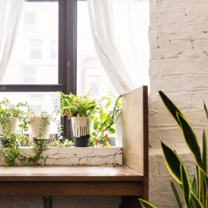 Photo of The Compound Cowork