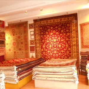 Photo of Shirvan Rug Gallery