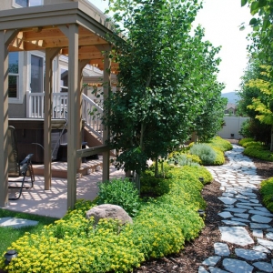 Photo of Scenic View Landscape