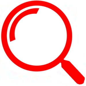 Photo of Your Pro SEO