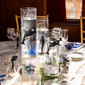 Photo of Moments Remembered Events
