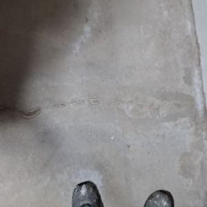 Photo of Walkers Basement Waterproofing