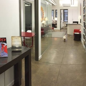 Photo of Ann Rittenberg Literary Agency Inc : New York Literary Agent