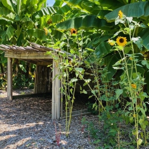 Alexandria River Farm