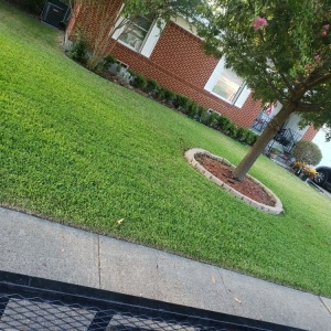 Photo of Southern Gardens Lawn and Landscape