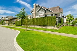 Photo of Adan Landscaping
