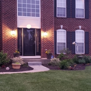 Photo of Adan Landscaping