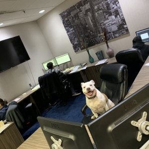 Photo of Nustream Marketing