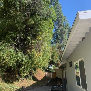 Photo of Lopez Tree Service