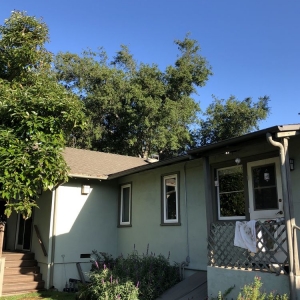 Photo of Lopez Tree Service