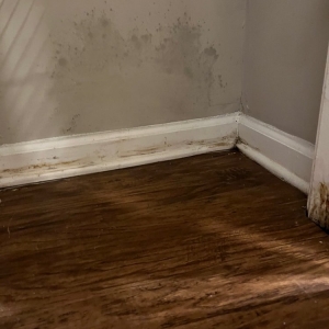 Photo of Cypress River Apartments
