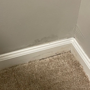 Photo of Cypress River Apartments