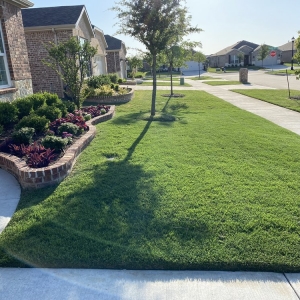 Photo of CitiTurf