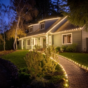 Photo of Holiday Lighting Company