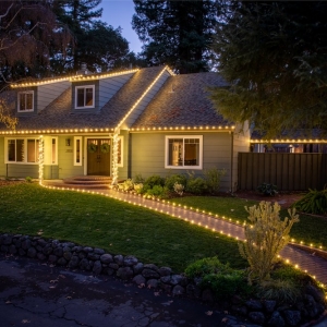 Photo of Holiday Lighting Company