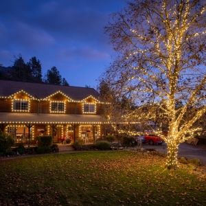 Photo of Holiday Lighting Company