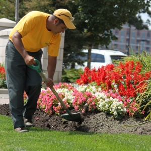 Photo of The Grounds Guys of Delaware, OH