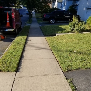 Photo of Customer First Lawn Service