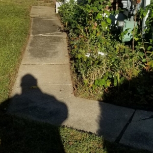 Photo of Customer First Lawn Service