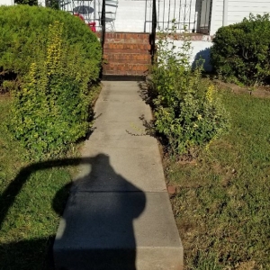 Photo of Customer First Lawn Service