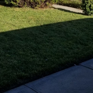 Photo of Customer First Lawn Service