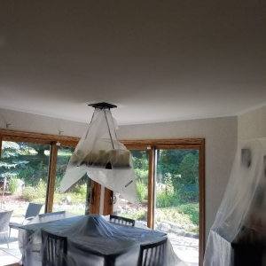 Photo of Joe Rab Painting and Cleaning Service
