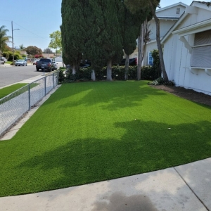 Photo of Turf Masters