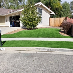 Photo of Turf Masters