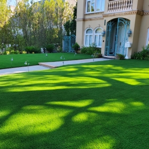 Photo of Turf Masters
